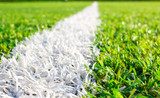 Frühlingsgrüner Sportplatz im Sonnenlicht