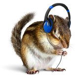 Funny chipmunk listening to music on headphones 