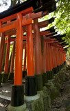 Fushimi Inari 