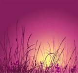 grass vector silhouette and sunset