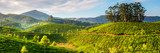 Grüne Hügel und Berglandschaft in der Sonne