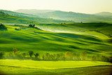 Grüne, toskanische Felder