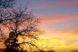 Herbstliche Silhouette im Farbenrausch