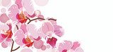 horizontal background with red orchids 