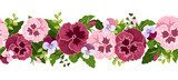 Horizontal seamless background with pansy flowers. Vector. 