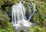 idyllic Triberg Waterfalls 