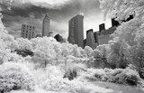 Infrared image of the Central Park 