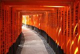 Japan - Fushimi Inari torii gates 