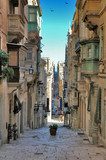 long view of maltese street 