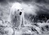 Majestätischer Eisbär in arktischer Wildnis