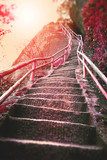 Märchenhafte Steintreppe im Herbstlicht