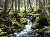 Mount forest waterfall between mossy rocks