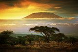 Mount Kilimanjaro. Savanna in Amboseli, Kenya 