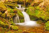 Mountain Stream in the Spring 