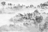 Mystische Winterlandschaft im Nebel