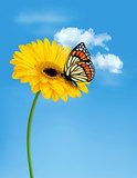 Nature summer yellow flower with butterfly. Vector illustration. 