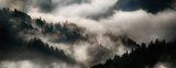Nebelschwaden über stillen Bergwäldern