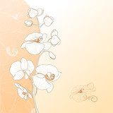 Orchid flower card 