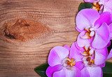 Pink Orchid Flowers on Wooden Background. Beautiful bouquet 