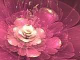 purple fractal flower 