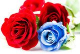 Red and blue roses 