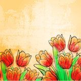 Retro watercolor tulips 