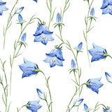 Sanfte blaue Glockenblumen-Choreografie
