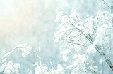 Sanfte Winterlandschaft mit zarten Zweigen