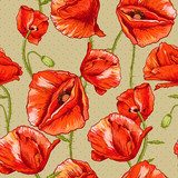 Seamless floral background with red poppy 