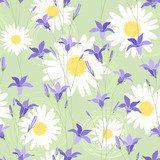 Seamless pattern with camomiles and bellflower 