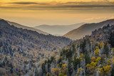 Smoky Mountains National Park 