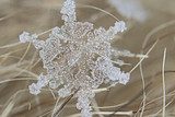snowflake crystal natural snow 