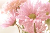 Soft tone floral bouquet 