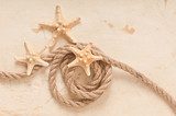 starfish and rope on old paper background