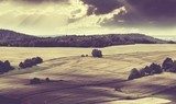 Stimmungsvolle Natur in sanften Sepiatönen