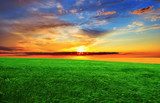 Sunset over the green field 