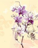 tender twig blossoming orchids on a light background with butter 