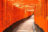 Torii gate tunnel in Kyoto, Japan  