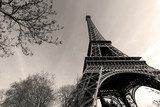 Tour Eiffel -  Eiffel Tower