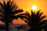 Tropische Abendruhe im Sonnenlicht