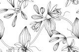 Vanilla flower and leaf drawing illustration with line art on white backgrounds.
