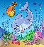 Various cute animals at sea bottom