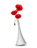 vase with three red poppies over white background