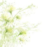 Vector background with flowers 