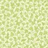 Vector ivy plants seamless pattern background with hand drawn 