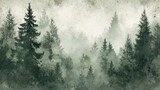Verträumter Nadelwald im Nebelschleier