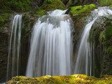 Wasserfall im Moos 