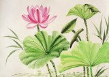 Watercolor painting of pink lotus flower 