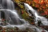 waterfall in beech forest 