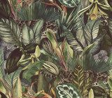 Wildnis-Impression mit tropischer Flora